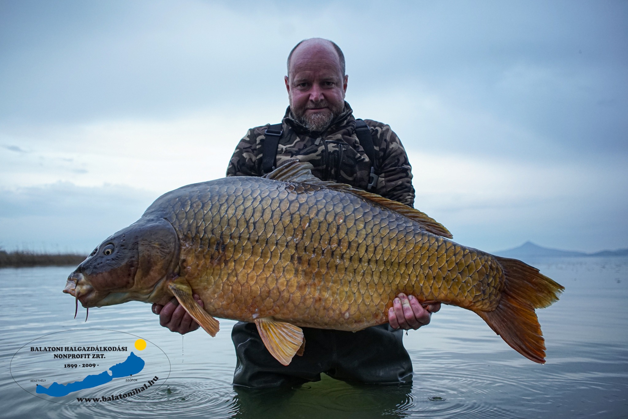 Óriási halat fogtak a Balatonban, megdőlt a rekord