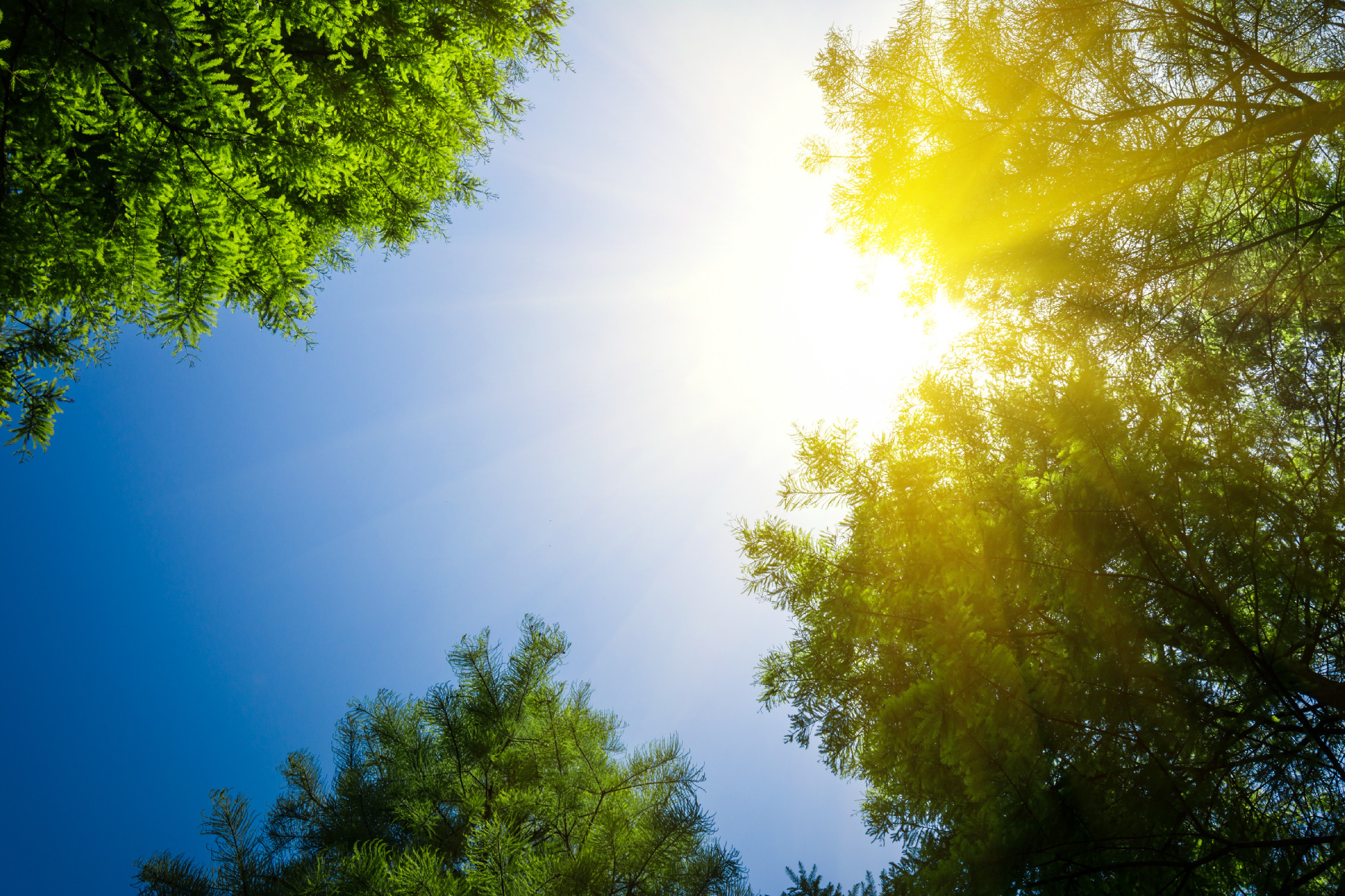 Időjárás – Záporok zavarhatják a sok napsütést a hétvégén