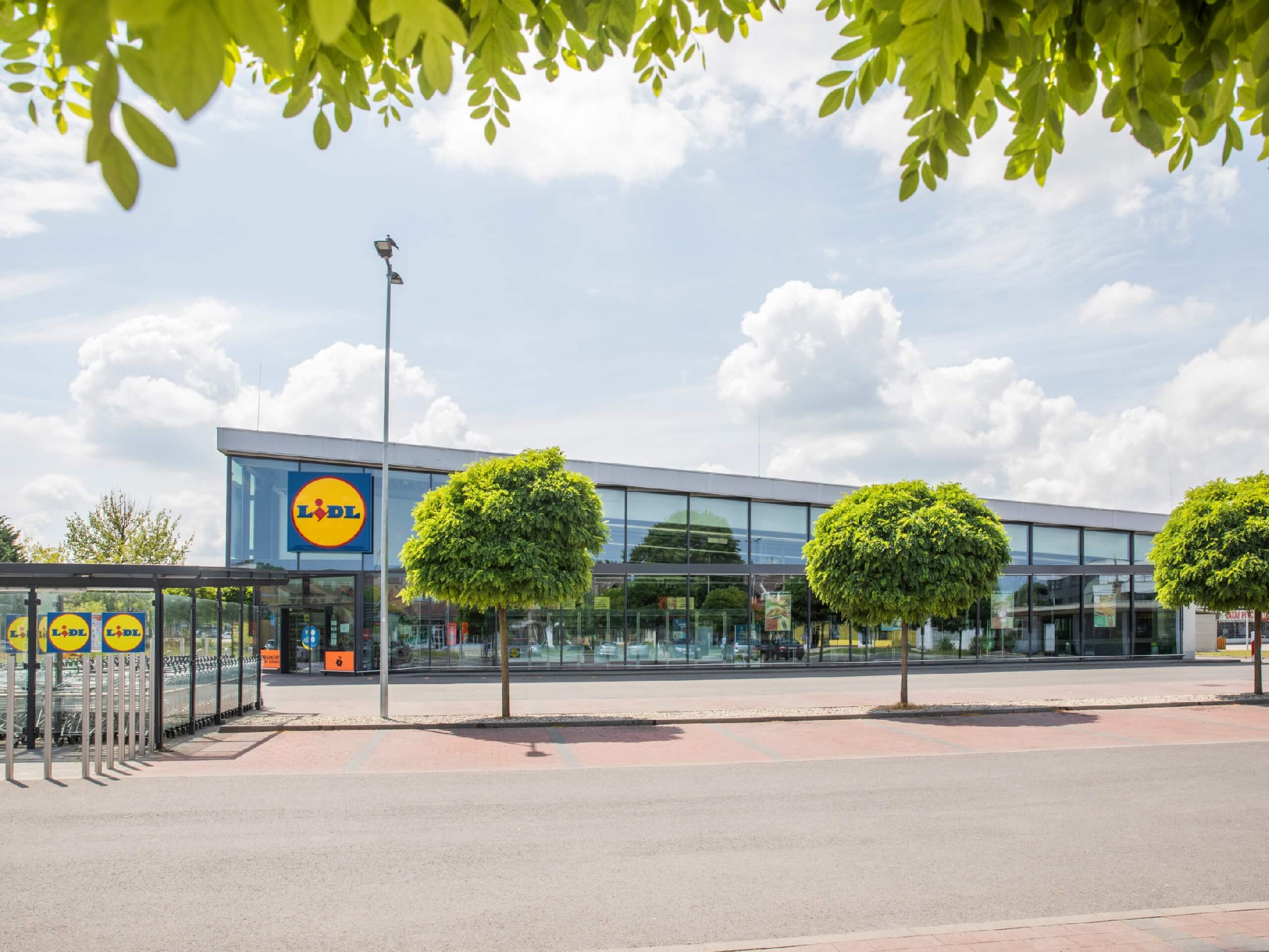 A Lidl segítségével léphetnek szintet a magyar beszállítók 