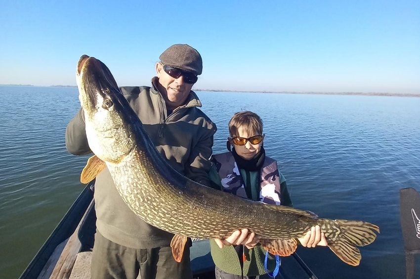 Fotón a halszörny: méretes csuka akadt horogra a Tisza-tónál 