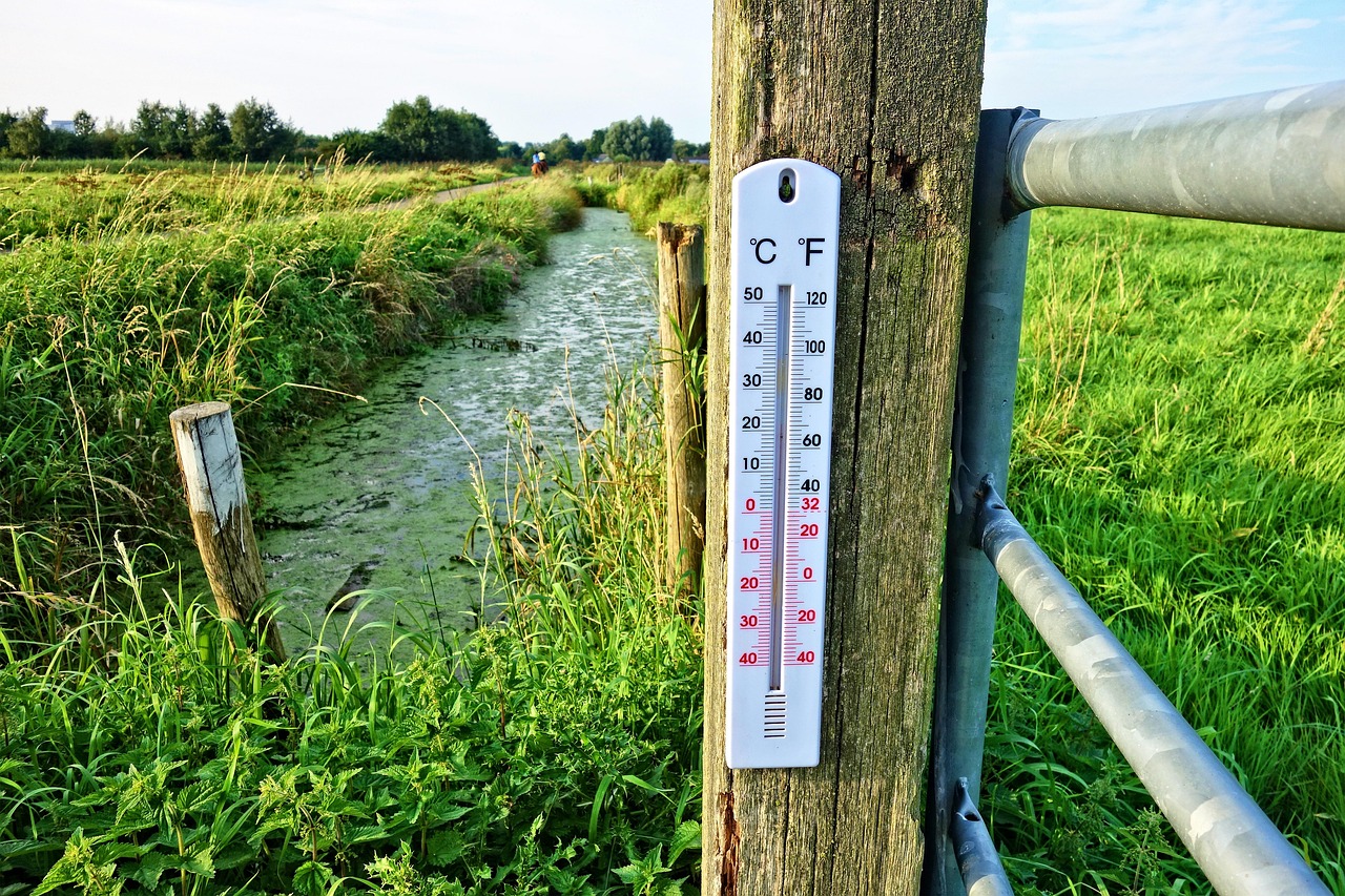 Kritikus a helyzet Magyarországon, ez okoz egyre nagyobb problémát hazánkban
