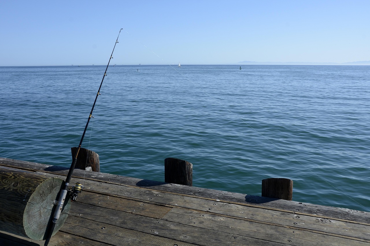 Megdöbbentő: kannibál halakat fogtak ki a Balatonból