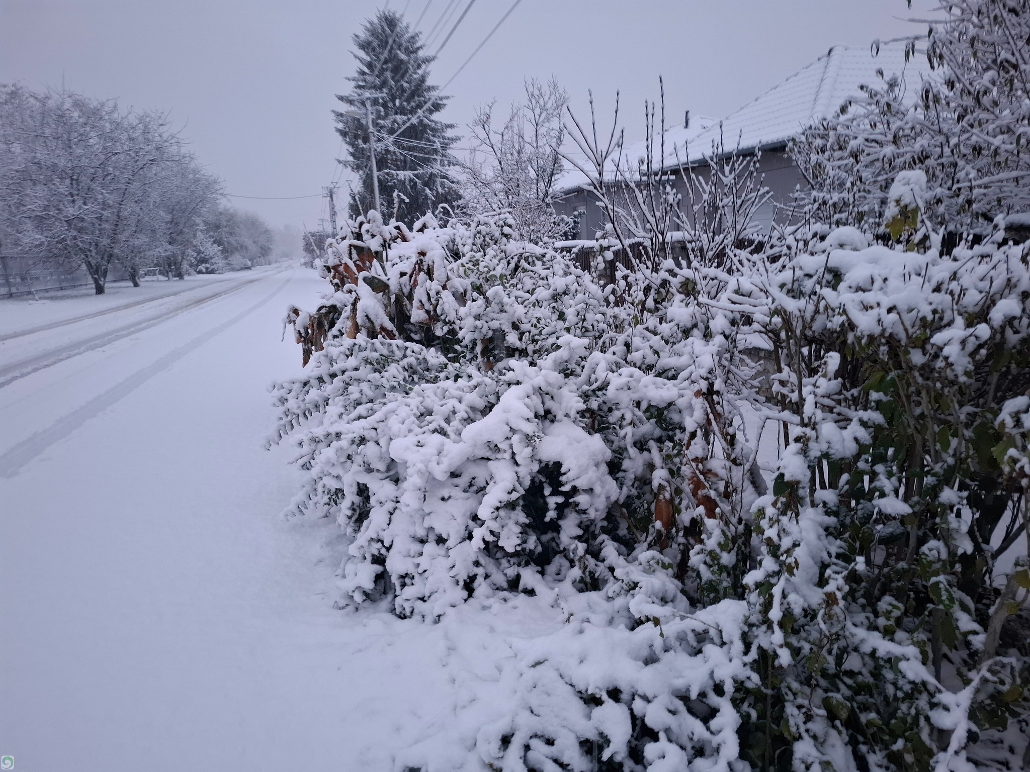 Berúgta az ajtót a tél, de meddig esik még a hó?