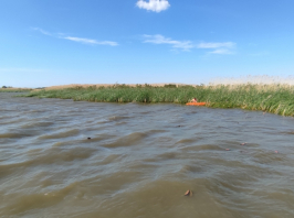 Hét kenu borult bele a Tisza-tóba, tömegesen mentették az embereket